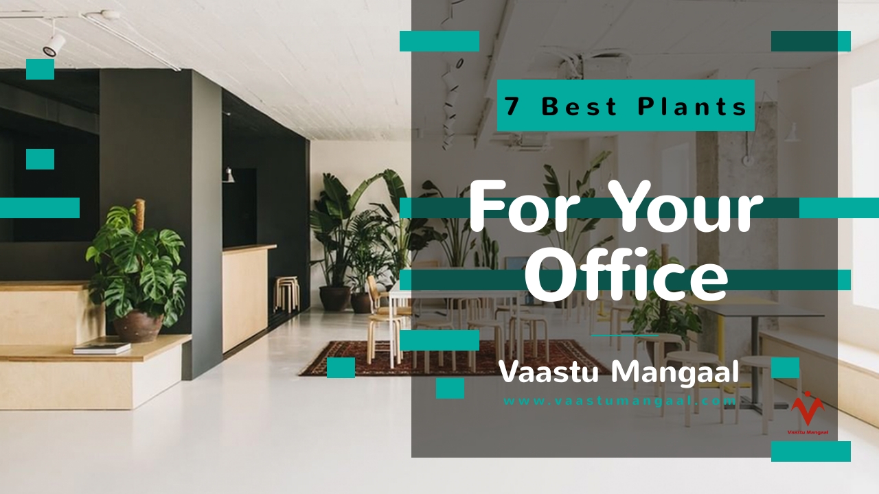7 Best Plants For Your Office As Per Vastu Shastra